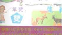 胆大包天打一个生肖,胆大包天生肖之谜，探寻勇敢与大胆的生肖特质”