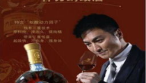 神力蚂蚁酒,保健养生新选择，传承千年蚂蚁疗法的现代演绎